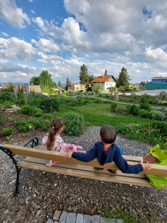 مبيت وإفطار Mönichkirchen Wald-Panorama-Zimmer المظهر الخارجي الصورة