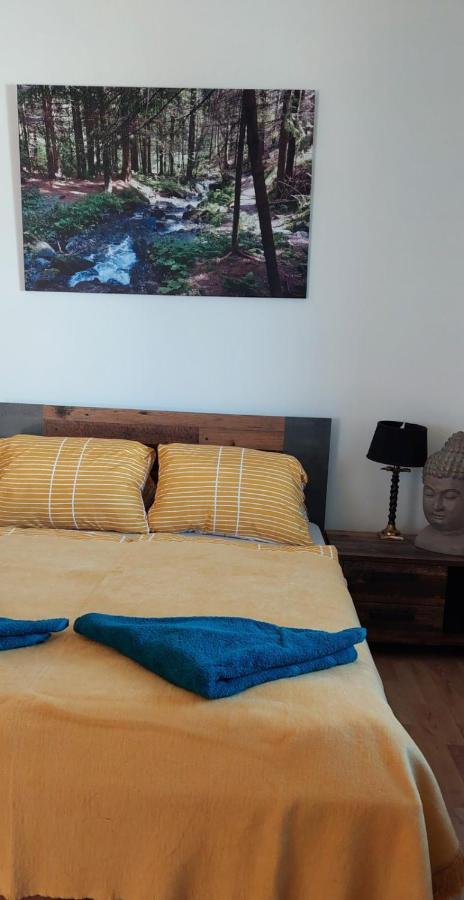 مبيت وإفطار Mönichkirchen Wald-Panorama-Zimmer المظهر الخارجي الصورة
