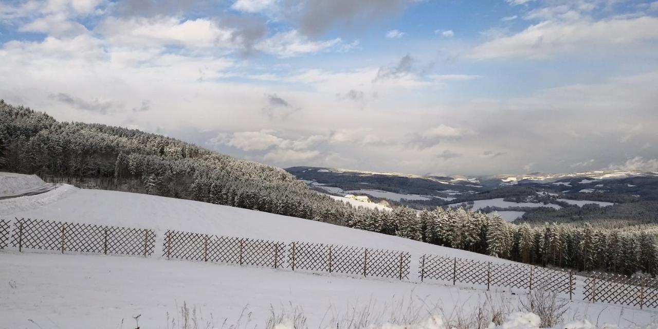 مبيت وإفطار Mönichkirchen Wald-Panorama-Zimmer المظهر الخارجي الصورة
