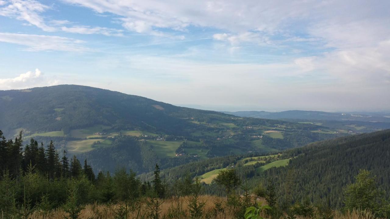 مبيت وإفطار Mönichkirchen Wald-Panorama-Zimmer المظهر الخارجي الصورة
