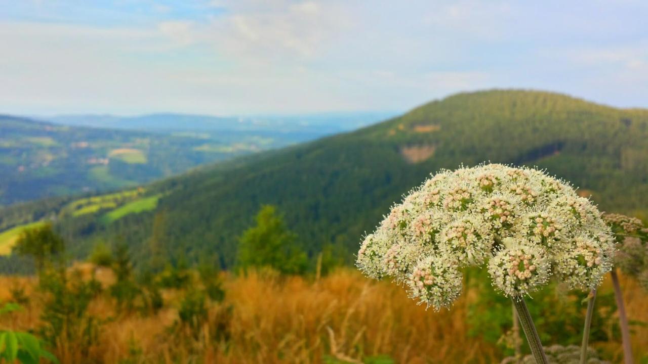 مبيت وإفطار Mönichkirchen Wald-Panorama-Zimmer المظهر الخارجي الصورة